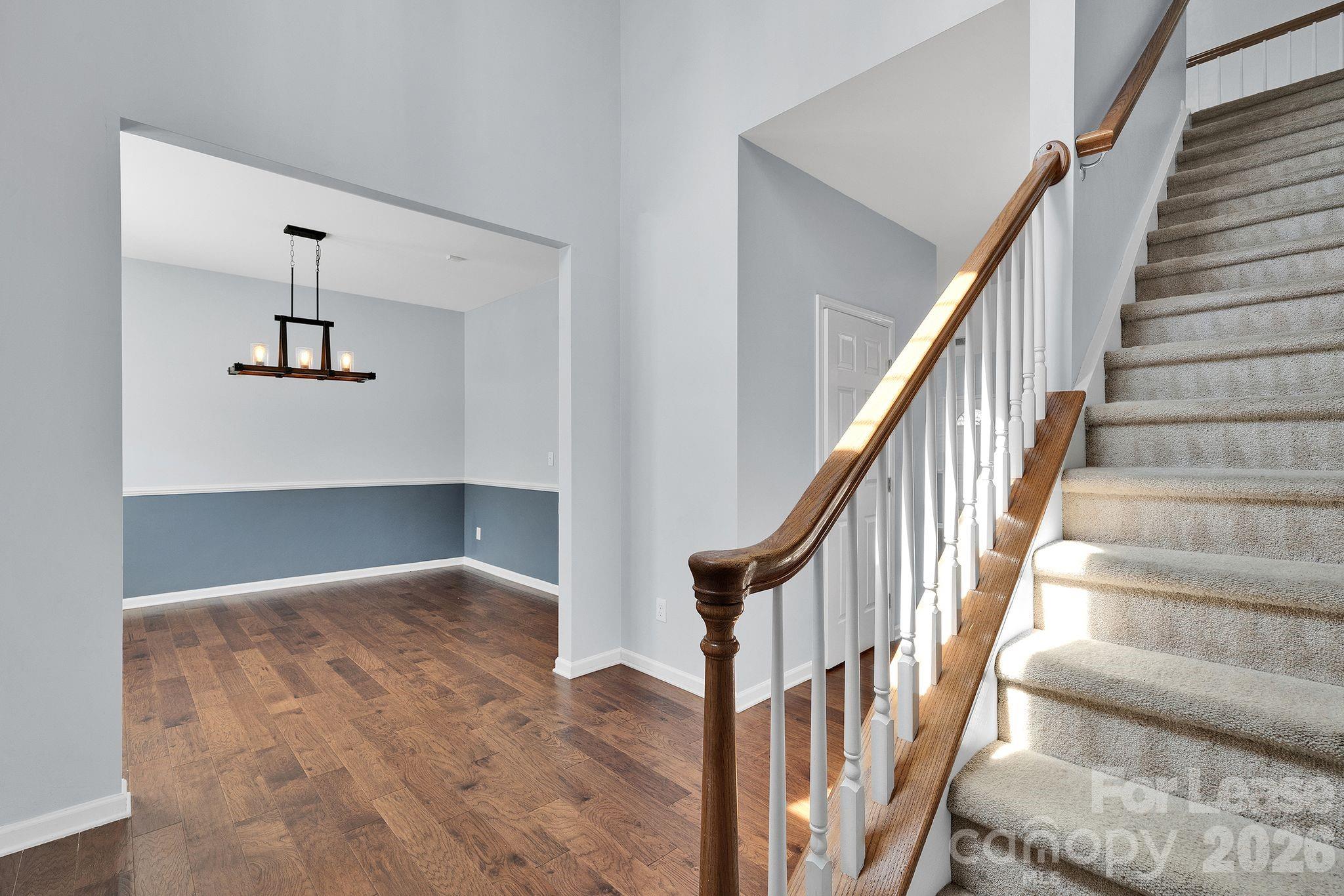 Spring Park - Residential Lease