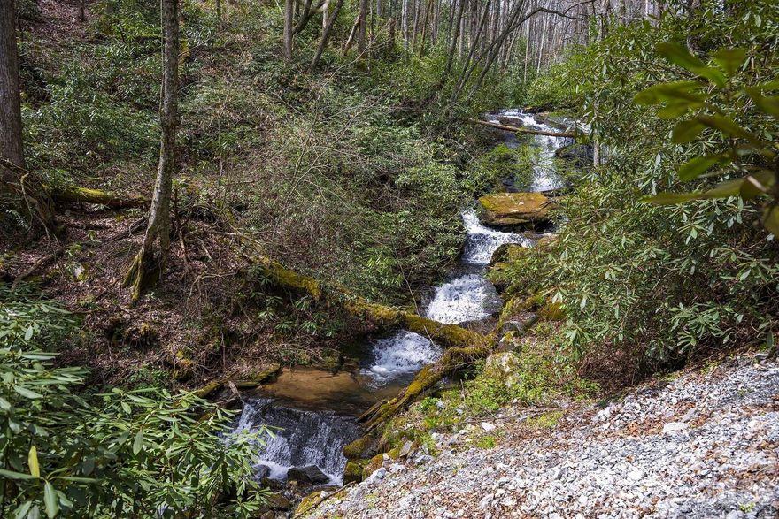 Have you ever dreamed of owning your own waterfalls?  Well, dream no more!  This nearly 60 acre tract, composed of two parcels, adjoins the Pisgah National Forest with Diamonds Creek majestically flowing through the property's length.  Two knolls overlooking the property await your building plans, along with areas along the Diamonds Creek that could be developed as well.  This is a rare opportunity in Transylvania County to own this much land with so many special features.