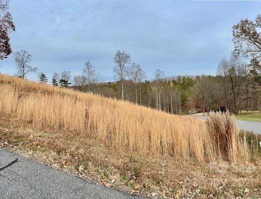 3612 CORNWELL CT # 139, MORGANTON, NC 28655 - Image a9ecd2d618ffe5e625b890ab2c302aac/1384925047