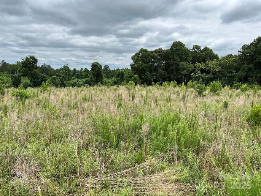 Price Reduced!  New Shelby Bypass is OPEN from Hwy 74 West to Hwy 150.  This property presents a unique opportunity for commercial buyers, featuring exceptional visibility and larger-than-average acreage. Ideally located between Highway 74 and the new Shelby bypass, this tract offers access to nearly all traffic traveling between Charlotte and Asheville. With approximately 1,450 feet of visibility along the bypass and about 600 feet of accessible frontage on Westlee Road, which connects to Highway 74 via a traffic light, it’s perfectly positioned for development. The property also includes a +/- 1-acre pond and creek, adding to its appeal. Additionally, there is an extra +/- 20.25 acres available on the north side of the Shelby Bypass, subject to survey. Don’t miss out on this prime investment opportunity!