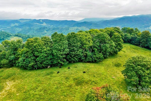 VAUGHN POTTER RD, ZIONVILLE, NC 28698 - Image a9f053b7b5cac69e8d6ea9d41e35a0af/1054235906