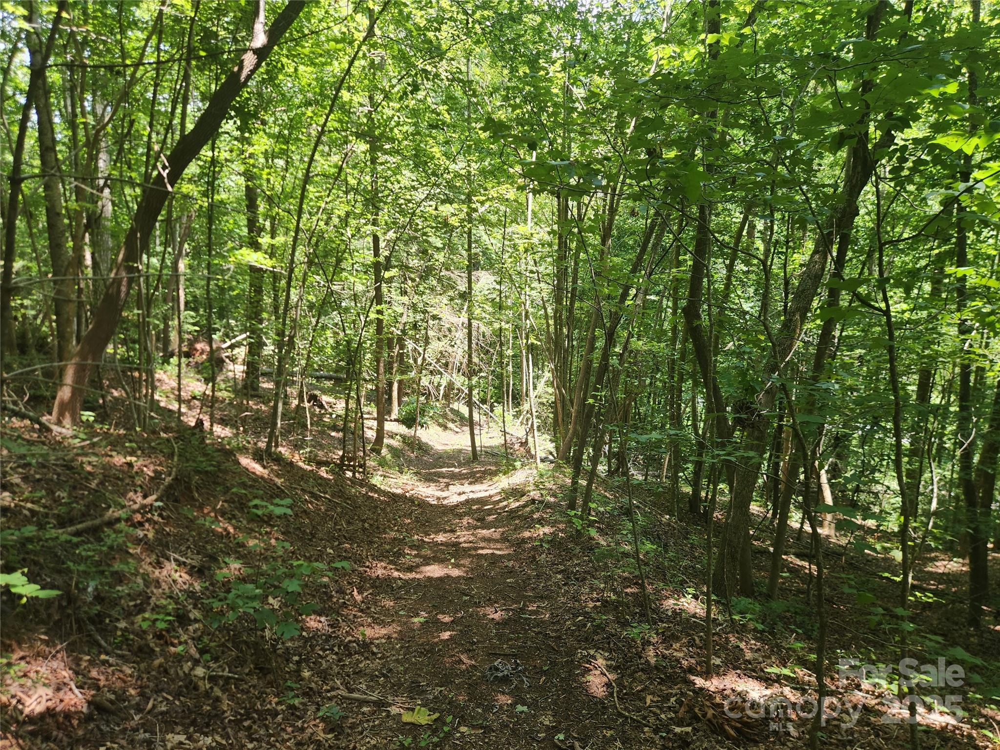 2003 Zacks Fork Road