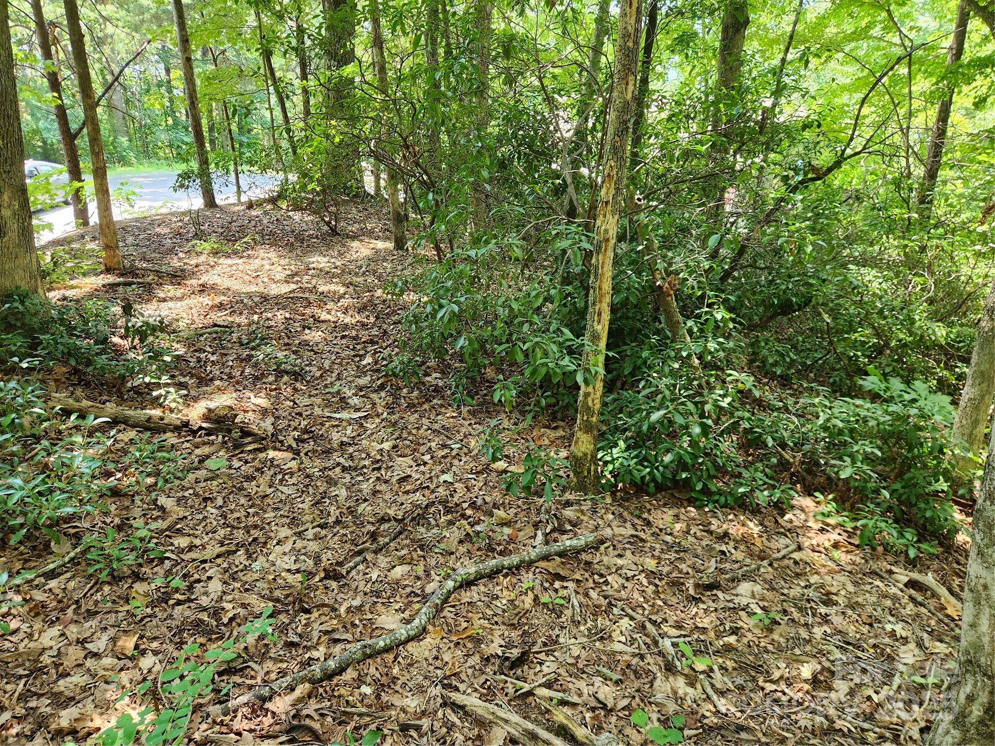 Rumbling Bald on Lake Lure - Land