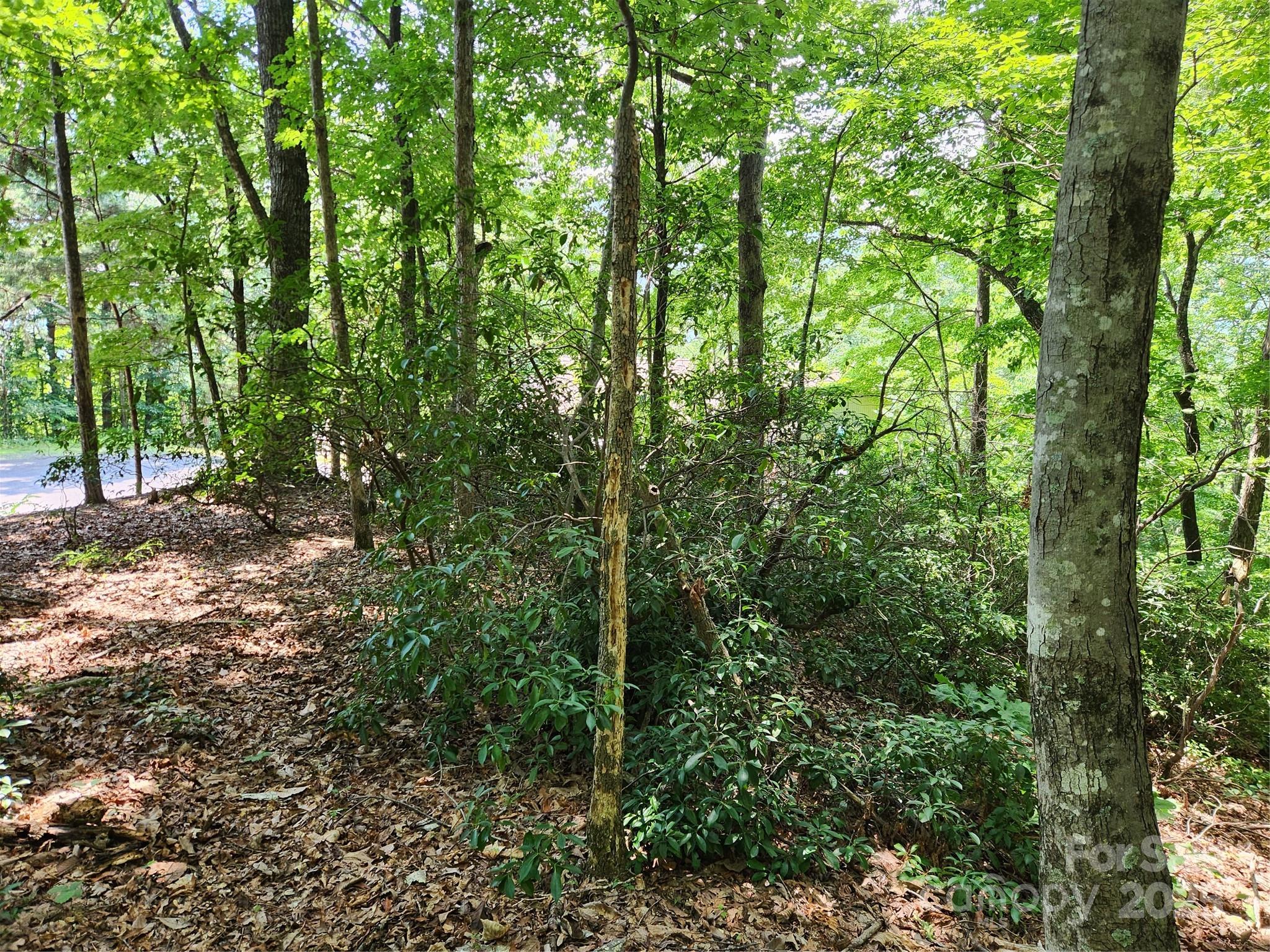 Lot 124, 125, & 101 Banjo Court