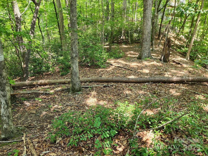 One of the very few lots with the potential for great Bald Mountain views.  This large Estate lot offers a knoll top building site with a gently sloping terrain that increases the opportunity for views.  Enjoy amenities like the Private Beach, Wellness Center, two championship golf courses, and a variety of activities year-round at our restaurants and other venues. The approximate 1.95 acre parcel consists of three lots (Lot 124, 125, and 101), which are owned by the POA and will be surveyed as one property at or before closing by the seller.  Parcel has access to high-speed fiber optic internet and underground utilities.