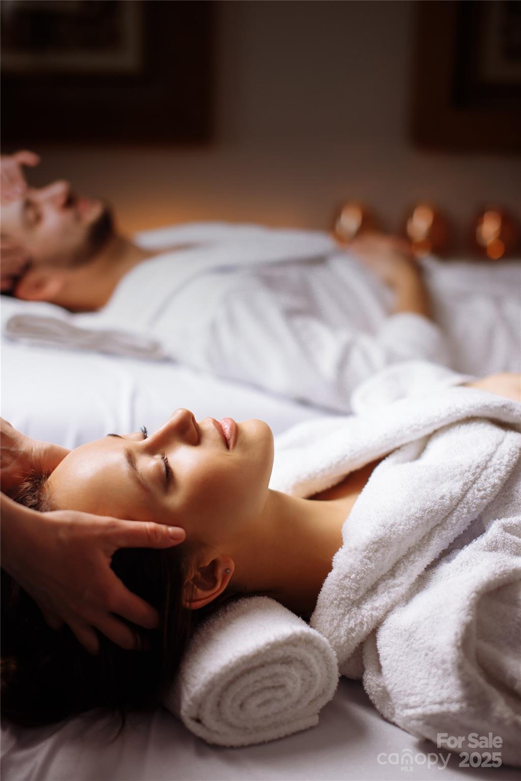 Rumbling Bald on Lake Lure - Land