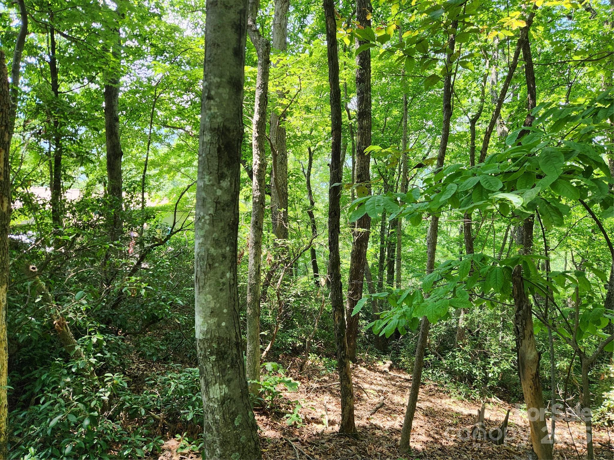 Lot 124, 125, & 101 Banjo Court