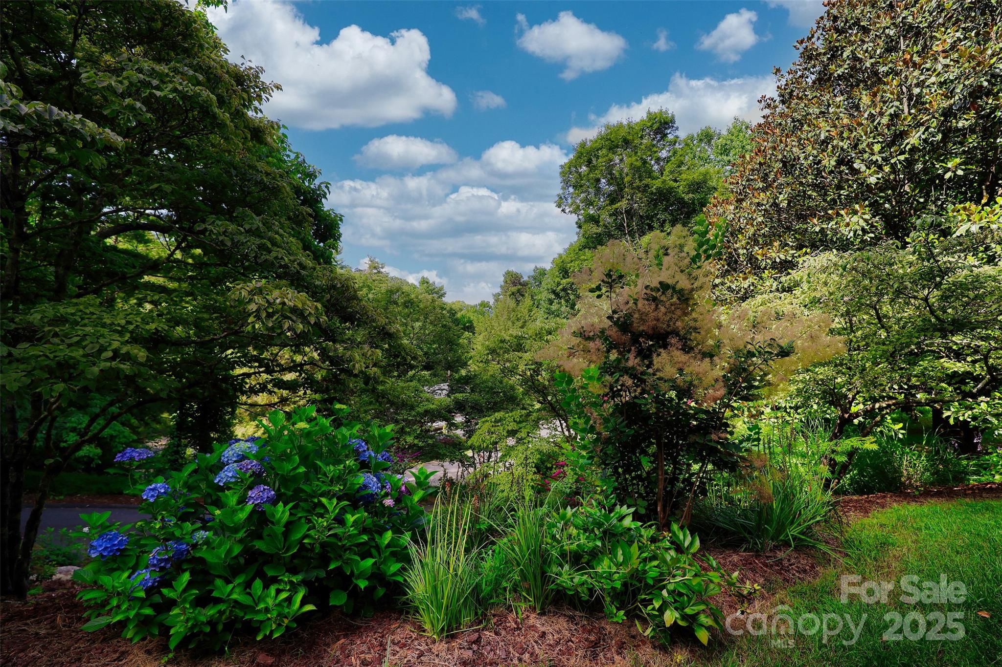 Ballantree - Residential