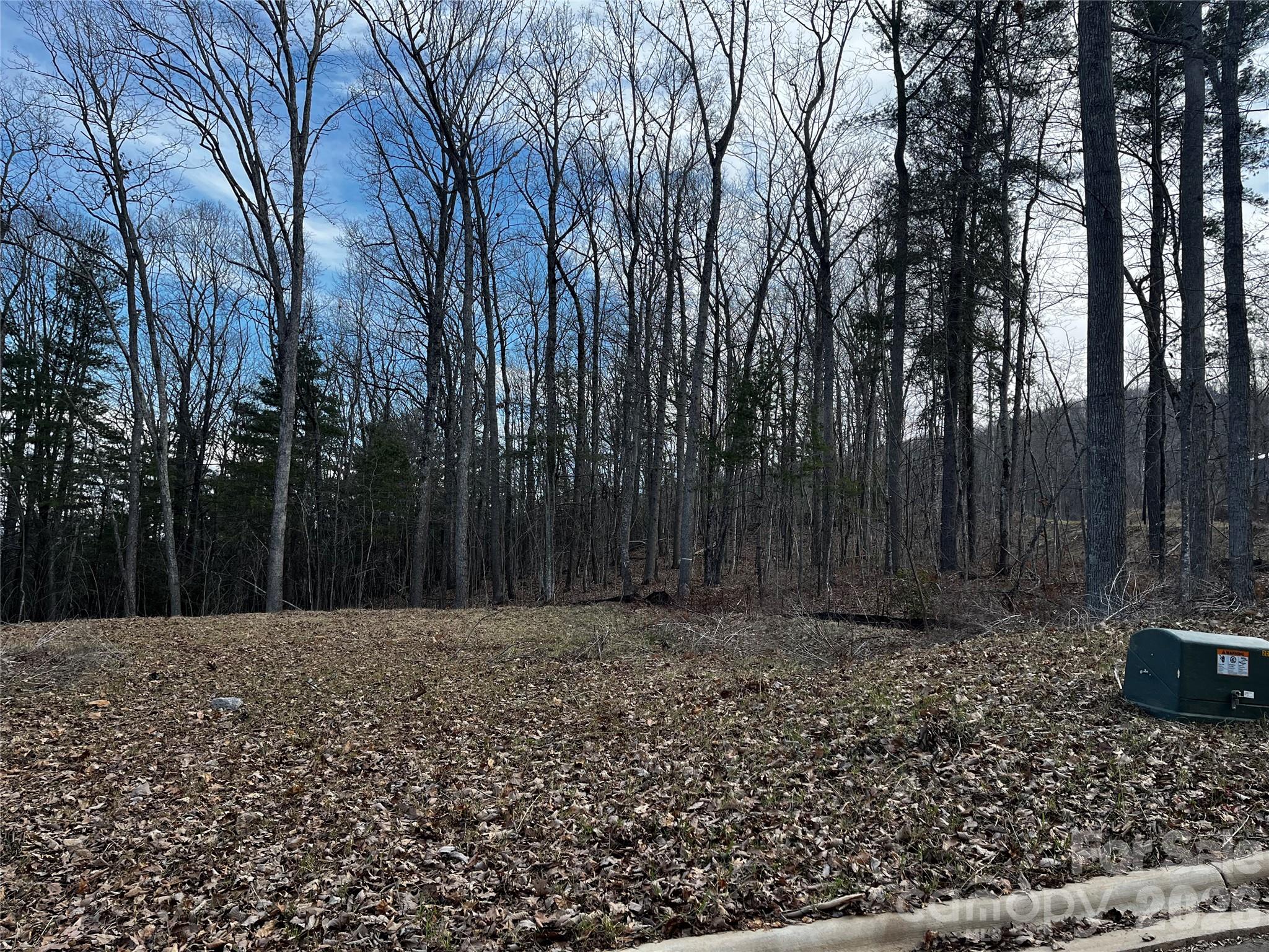 105 Woodland Meadows Drive Tract A & B