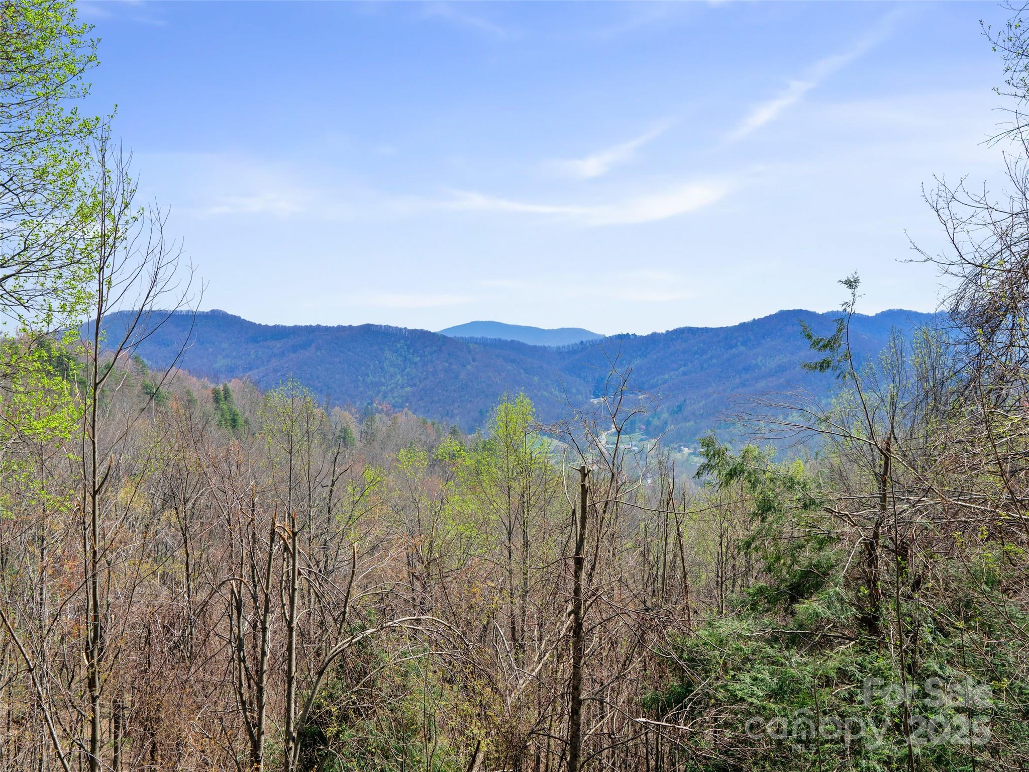 1299 Pine Ridge Road