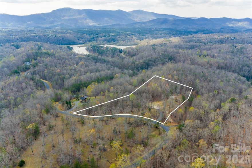 117 N Boundary Rd presents a rare opportunity to build a private mountain retreat on 3.79 acres in the sought-after Lake Adger community. This homesite offers exceptional privacy with generous separation from neighbors and comes ready to build with a driveway, well, and 3-bedroom septic system already in place—saving valuable time and upfront cost. The land features a blend of level and gently sloping terrain, creating a versatile building envelope ideal for a main residence, guest house, or equestrian setup. Multiple vantage points capture panoramic winter mountain views, with the potential to enhance year-round vistas through selective clearing. A paved basketball or pickleball court adds a unique recreational element, while the expansive outdoor space invites gardens, outdoor living, or additional improvements. Located within Lake Adger, residents enjoy access to marinas, trails, parks, and equestrian paths, all within close proximity to Tryon International Equestrian Center, the Green River, local vineyards, and charming nearby towns. A rare combination of privacy, usability, and lifestyle—ready for your vision.