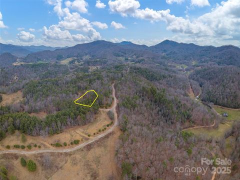 00 Wildlife Drive 7 Clyde NC 28721