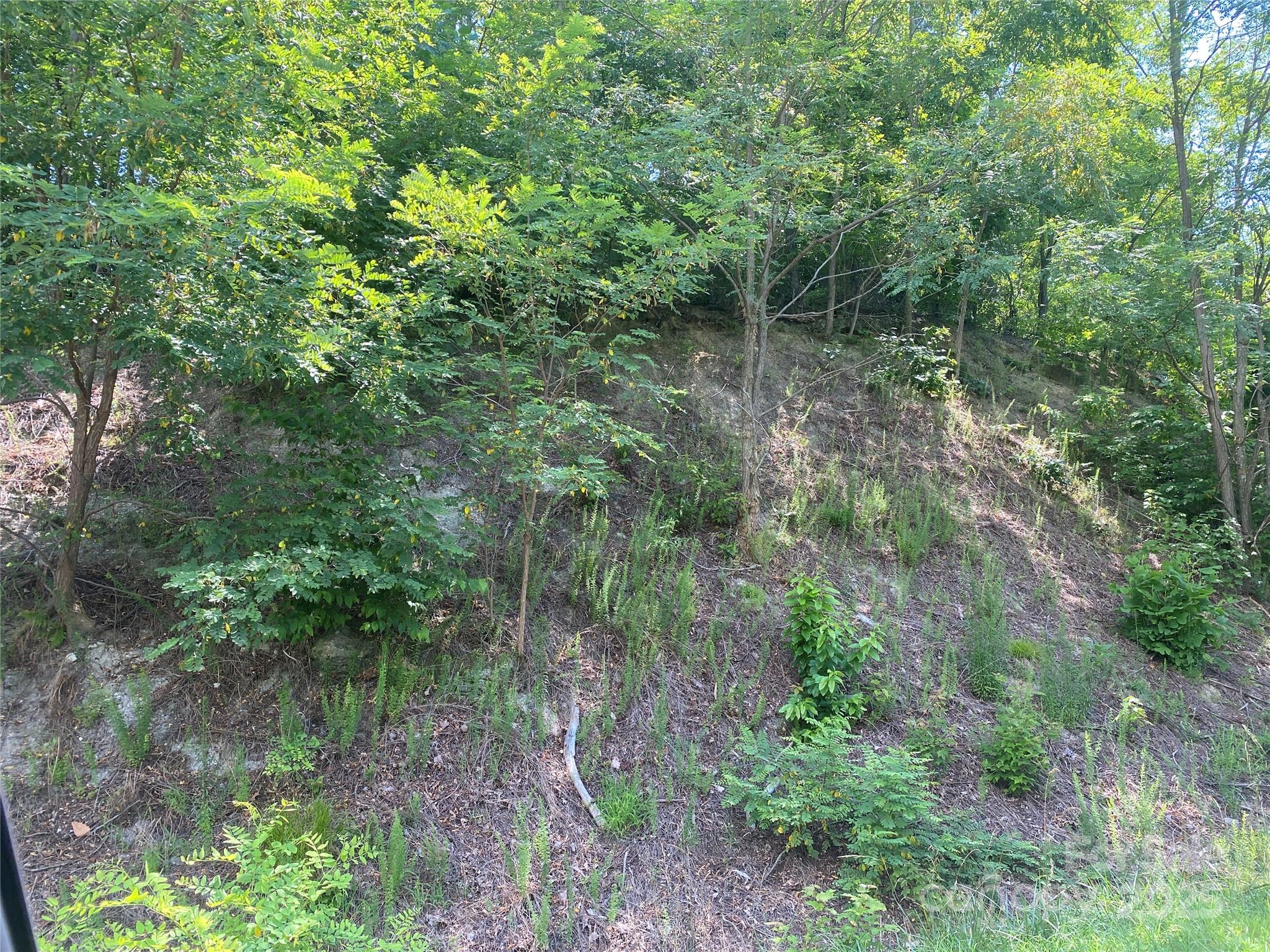 Lot 138 Winding Ridge Road