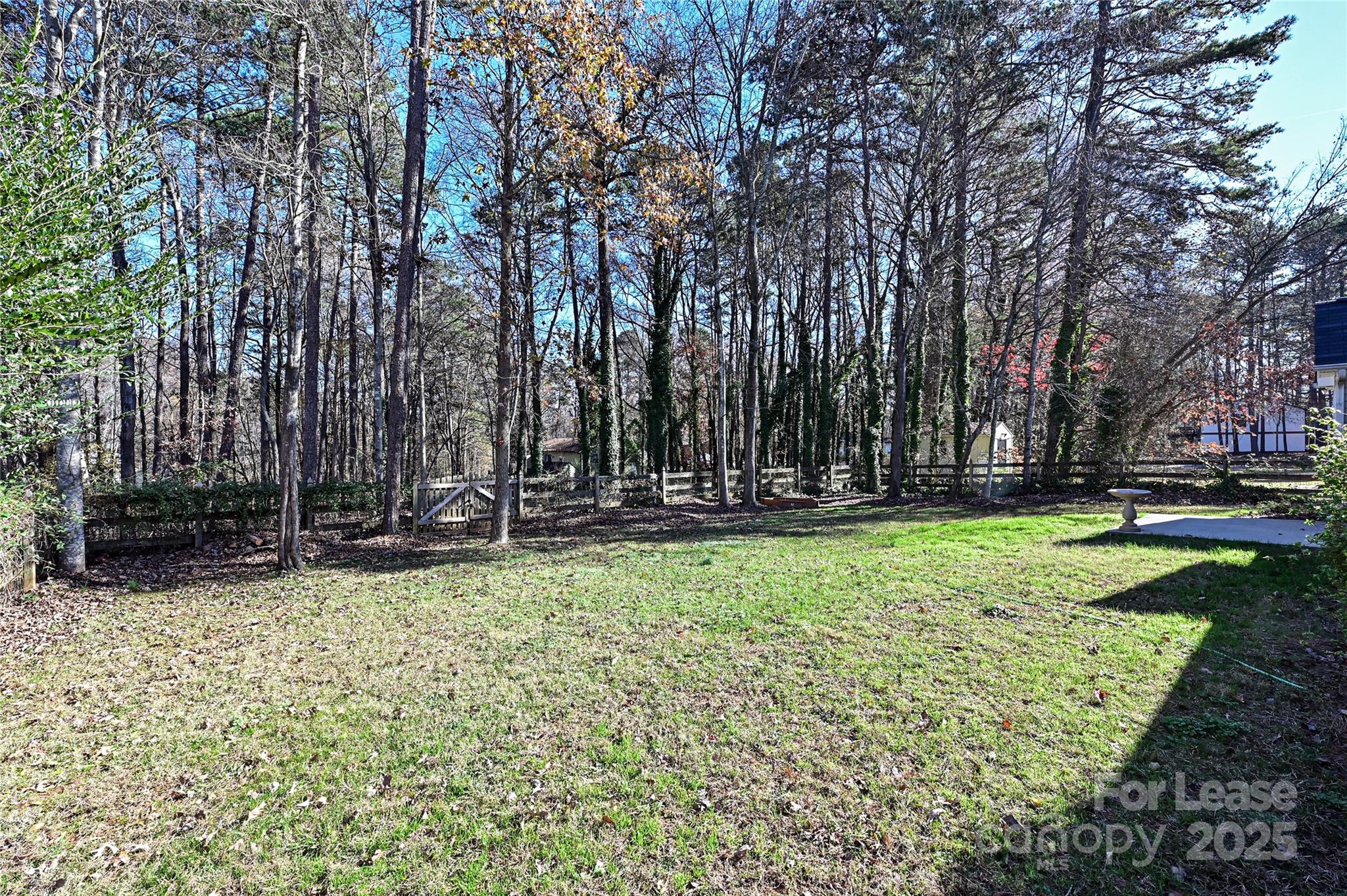 None - Residential Lease