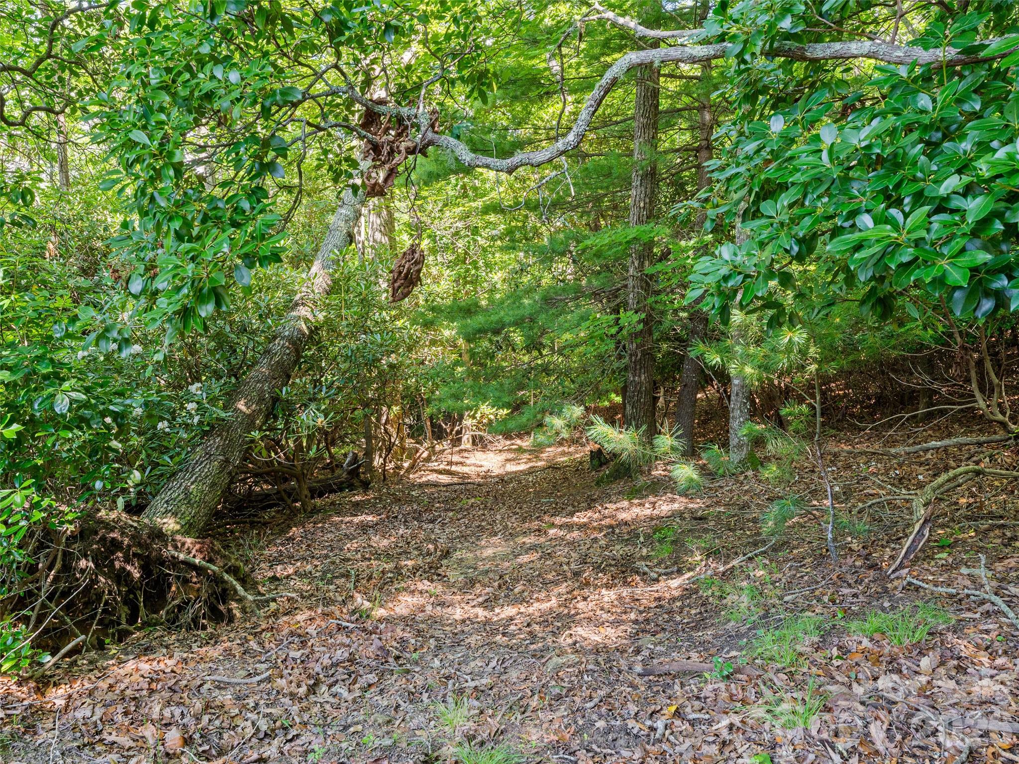 Blue Ridge Overlook - Residential