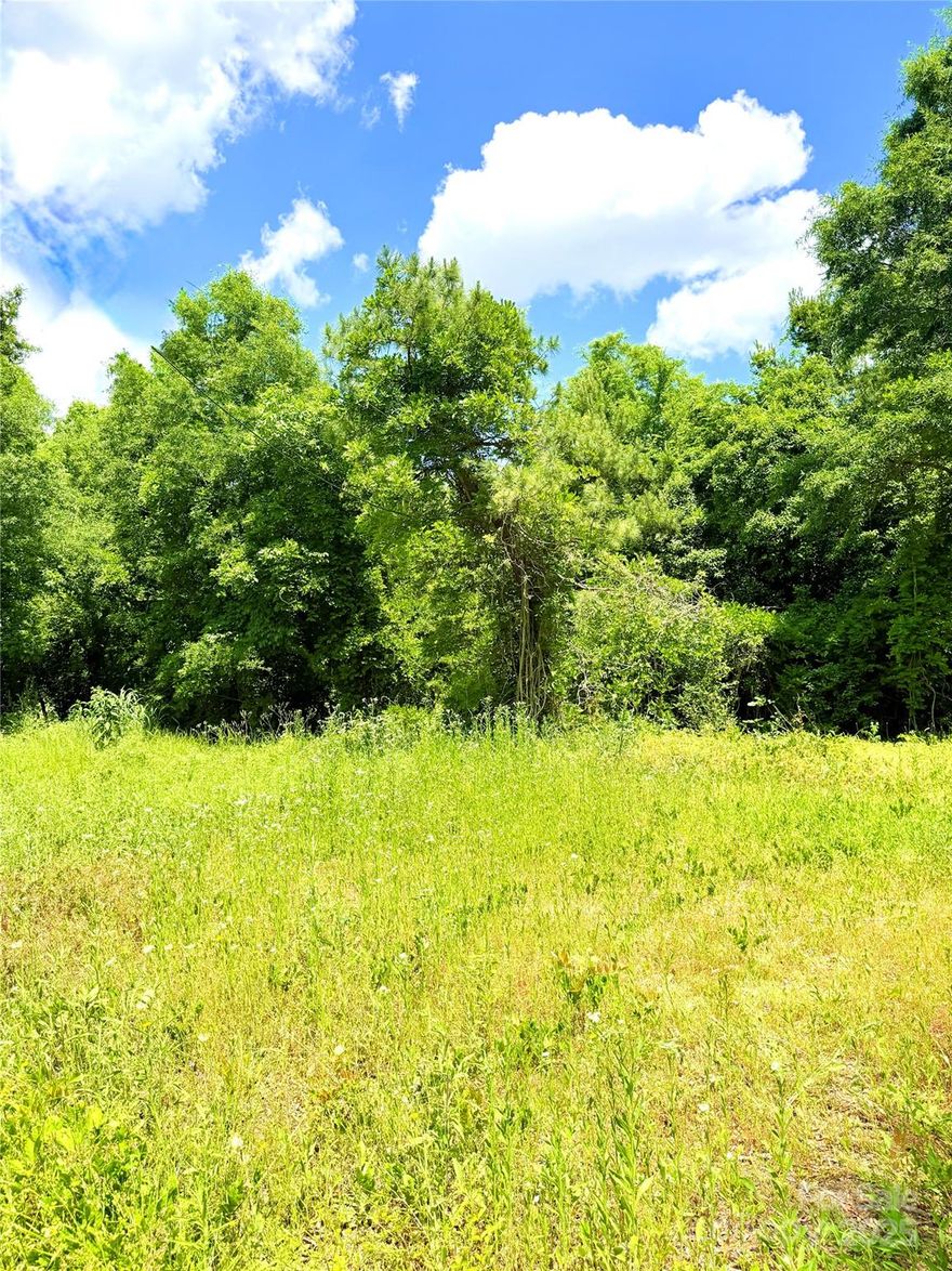 This is a vacant lot waiting to be developed! It is ideal for a duplex, townhouse, etc...It is the middle lot of two adjacent lots and is perpendicular to the railroad. It has trees and can be cleared to suit your vision. There is currently no HOA for this lot.