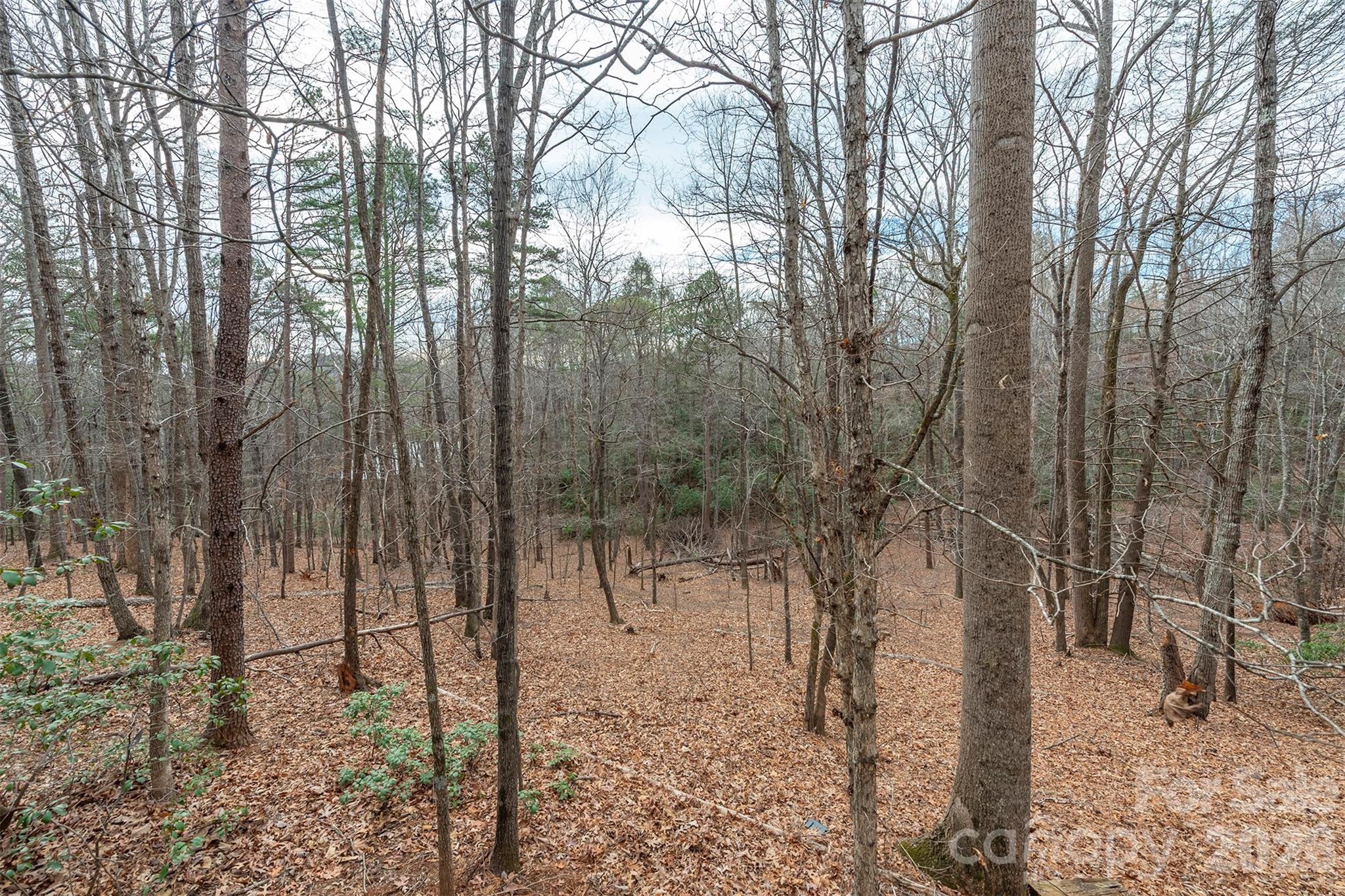 Rumbling Bald on Lake Lure - Residential