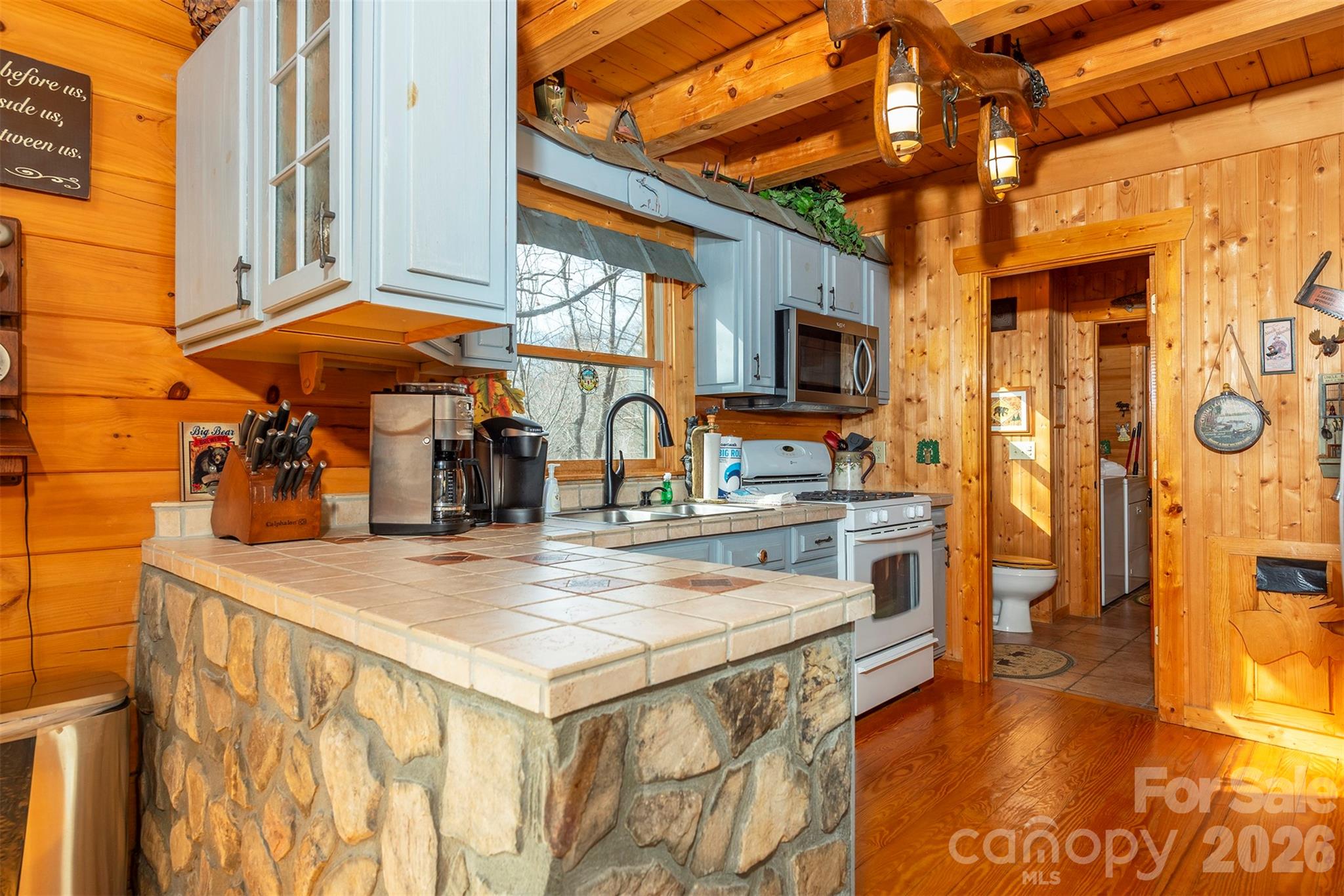 Rumbling Bald on Lake Lure - Residential