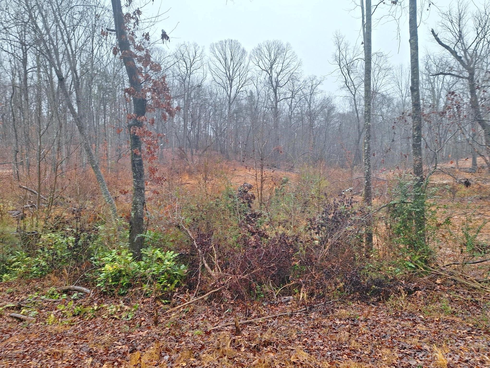 Barringer Woods - Land