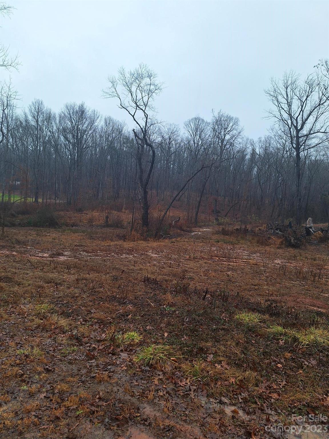 Barringer Woods - Land