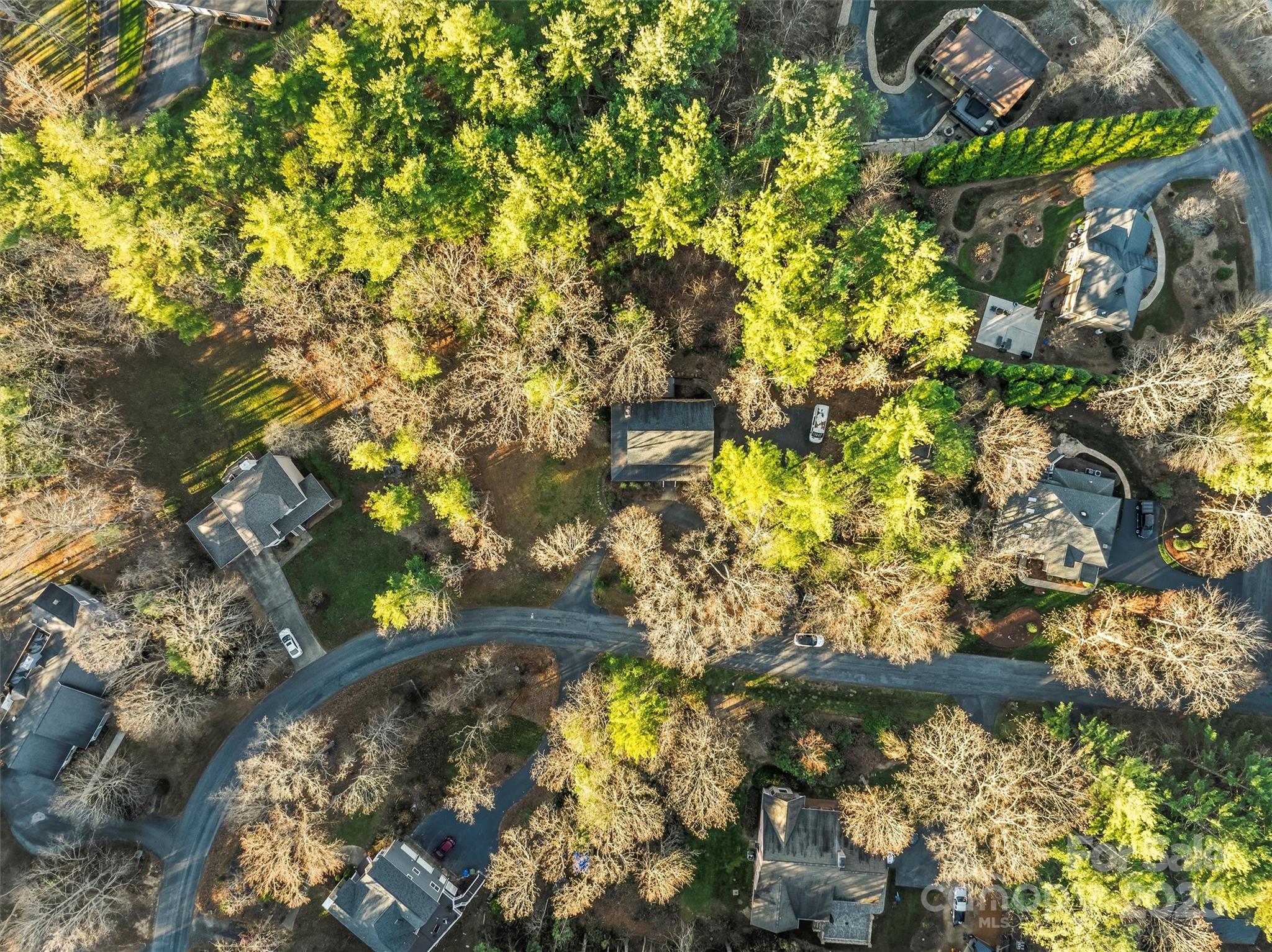 Meadowood - Residential