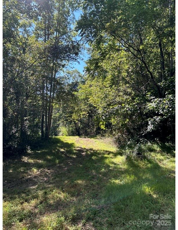 0 10th Avenue Drive SW