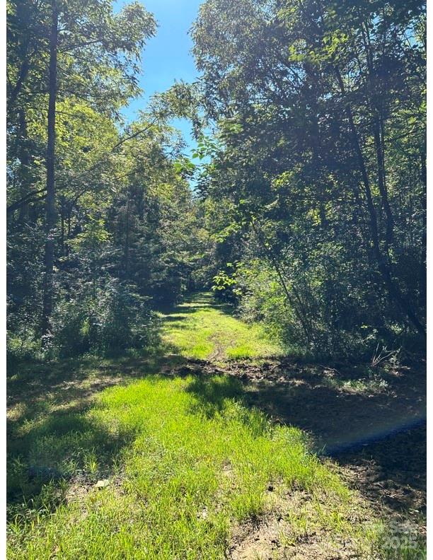 0 10th Avenue Drive SW