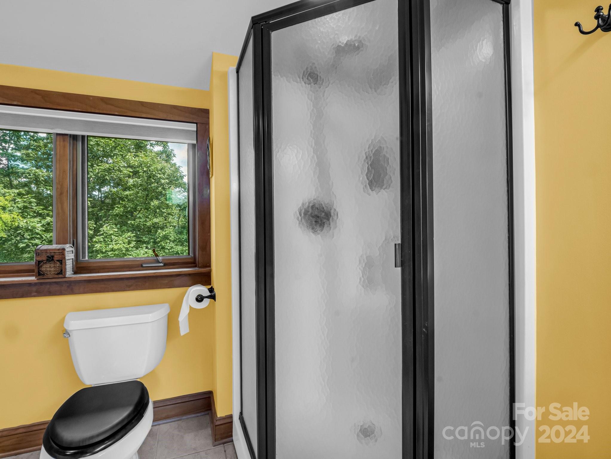 Rumbling Bald on Lake Lure - Residential