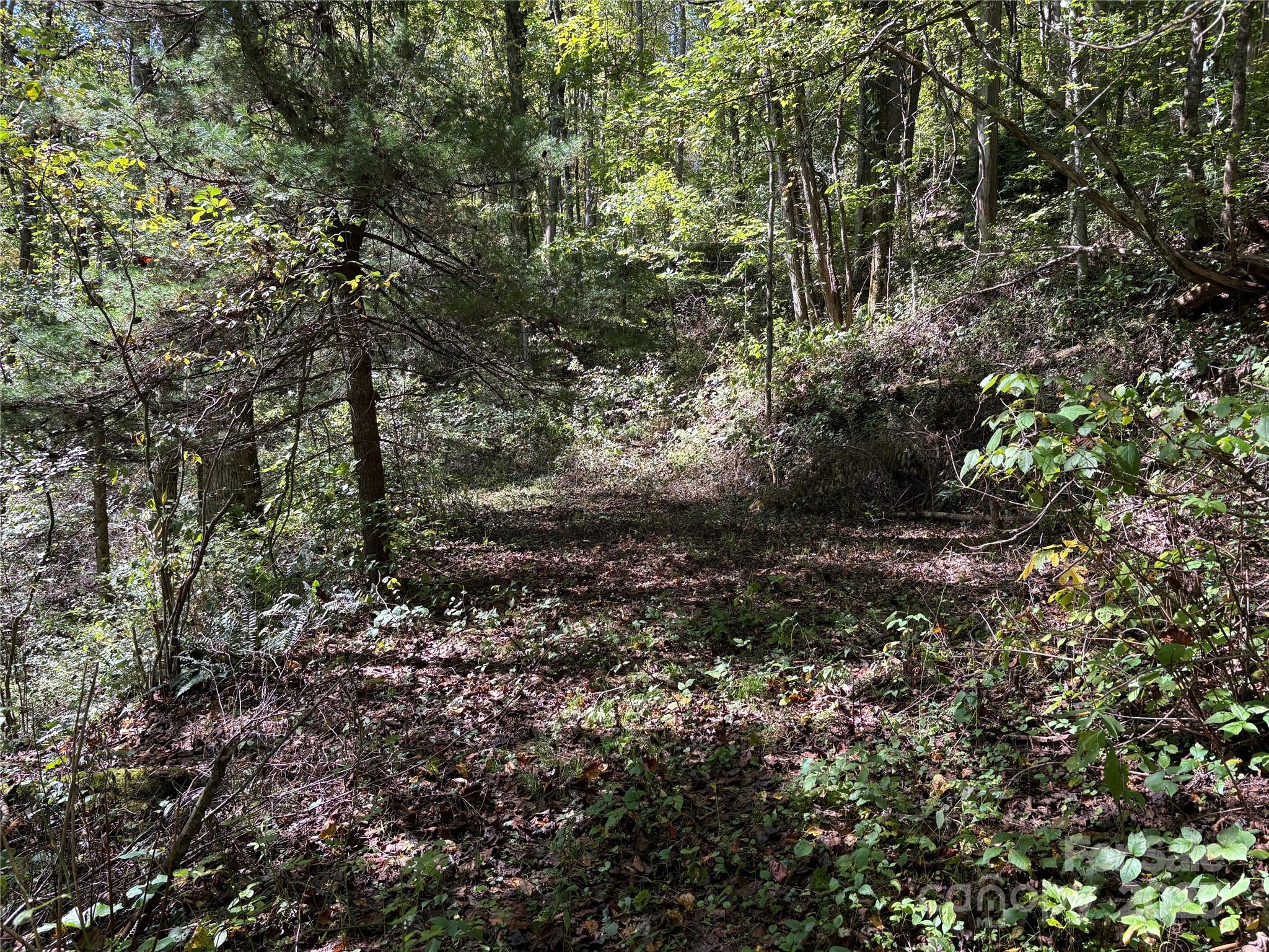 TBD Happy Ridge Lane