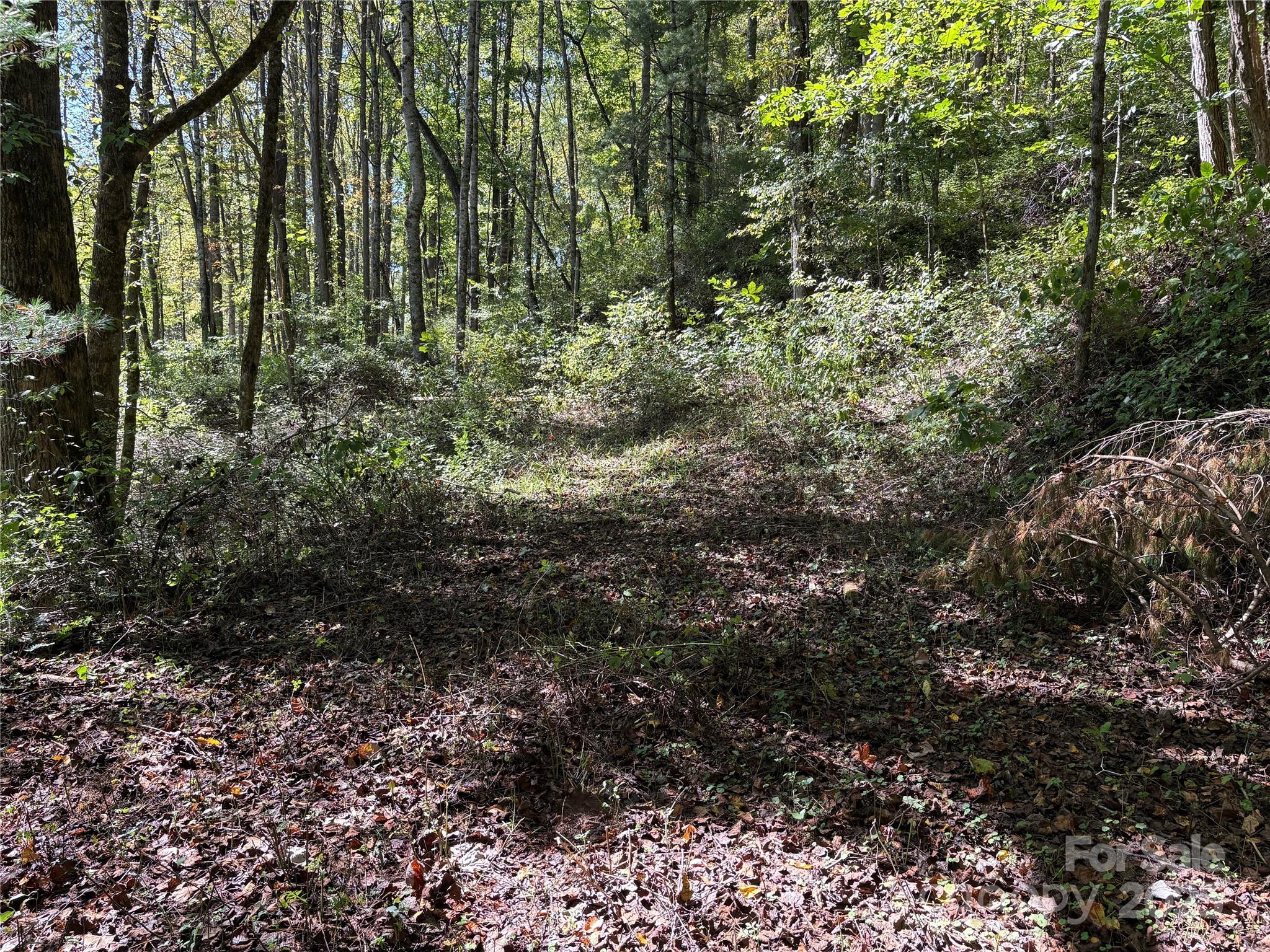 TBD Happy Ridge Lane