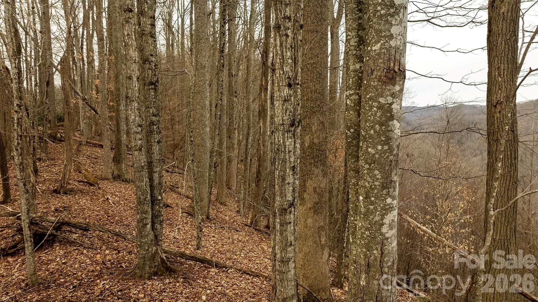 0000 Devils Knob Road