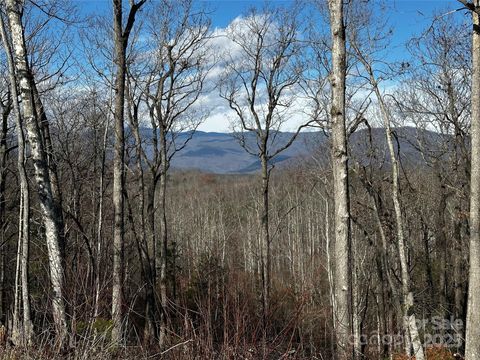 200 Warren Ridge Drive 8 Old Fort NC 28762
