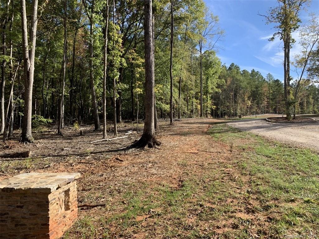 Virginia's Woods - Land