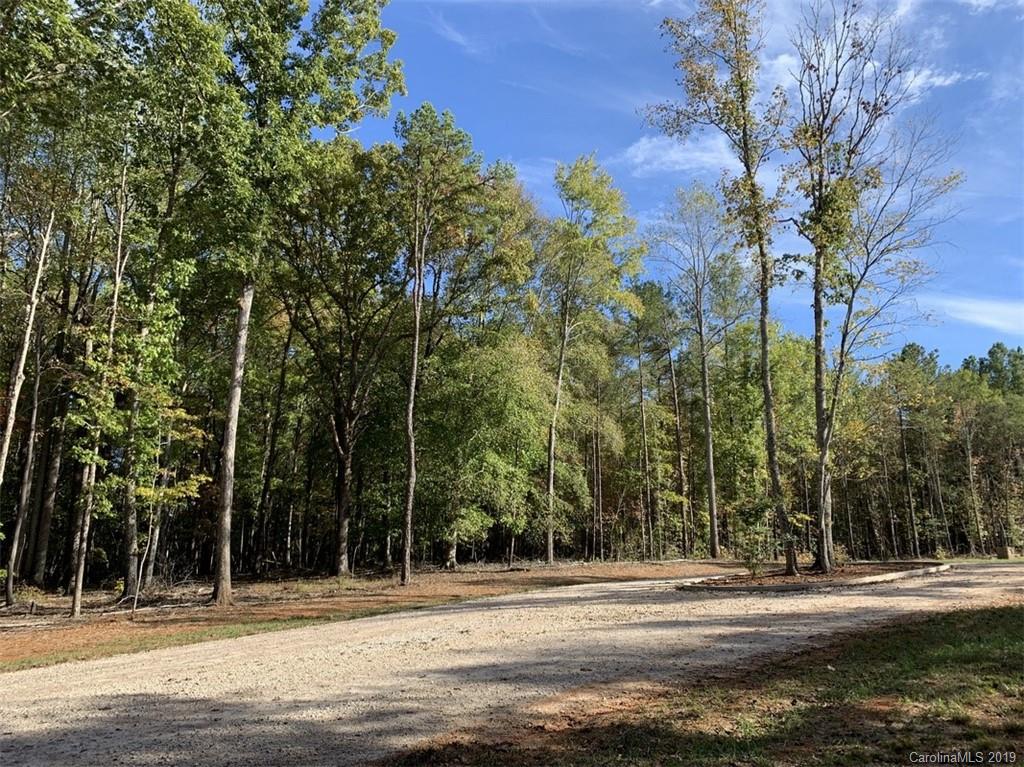 Virginia's Woods - Land