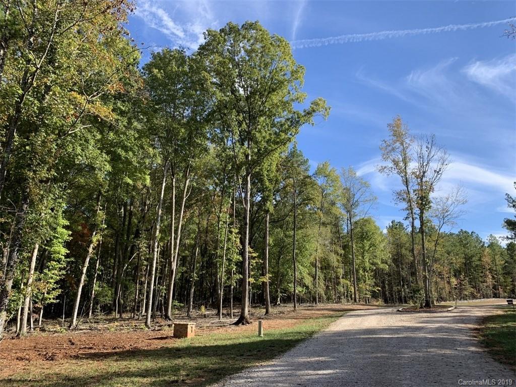 Virginia's Woods - Land