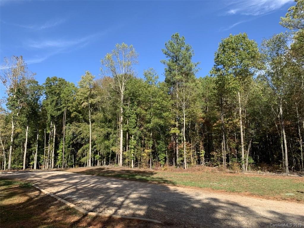 Virginia's Woods - Land