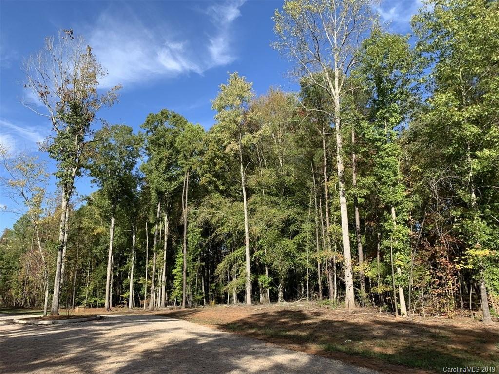 Virginia's Woods - Land