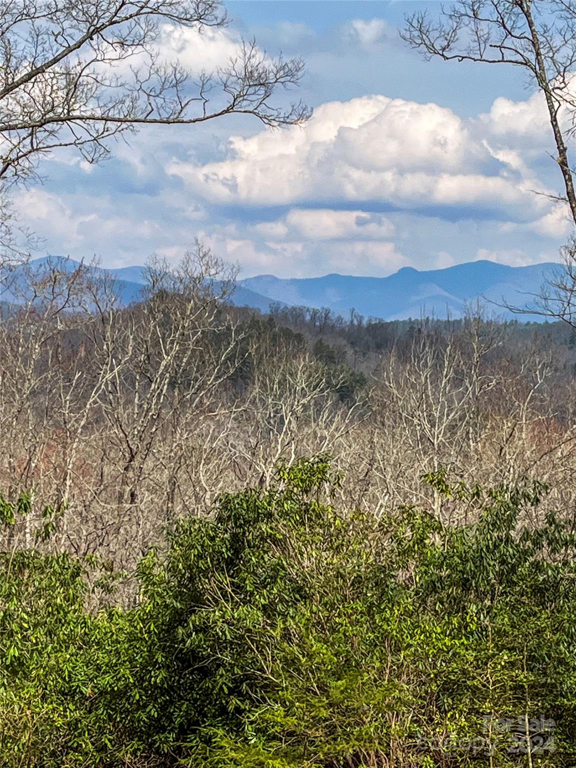 Richland Ridge - Land