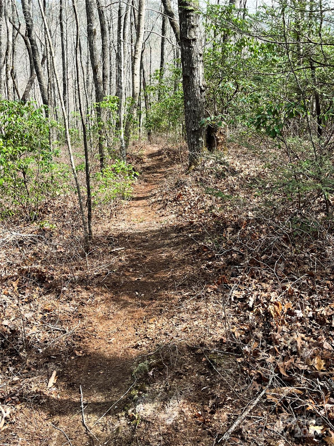 Richland Ridge - Land