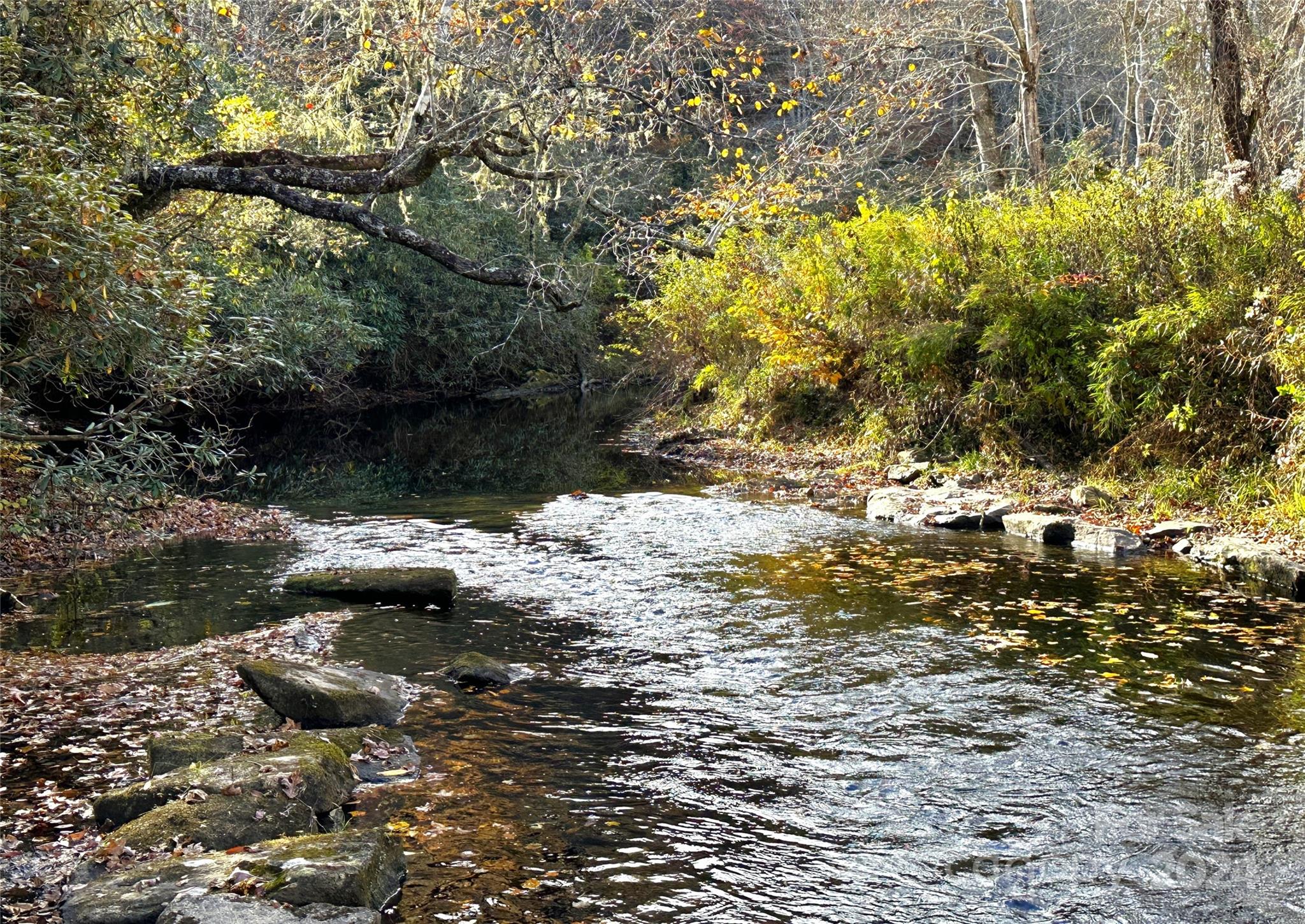 Richland Ridge - Land