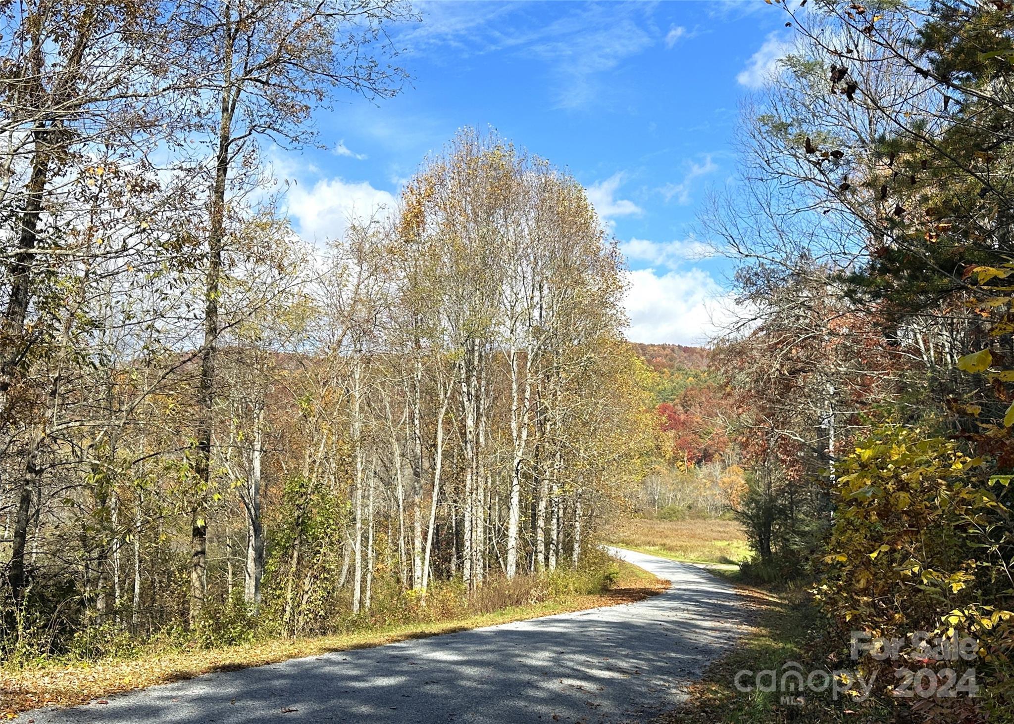 Richland Ridge - Land