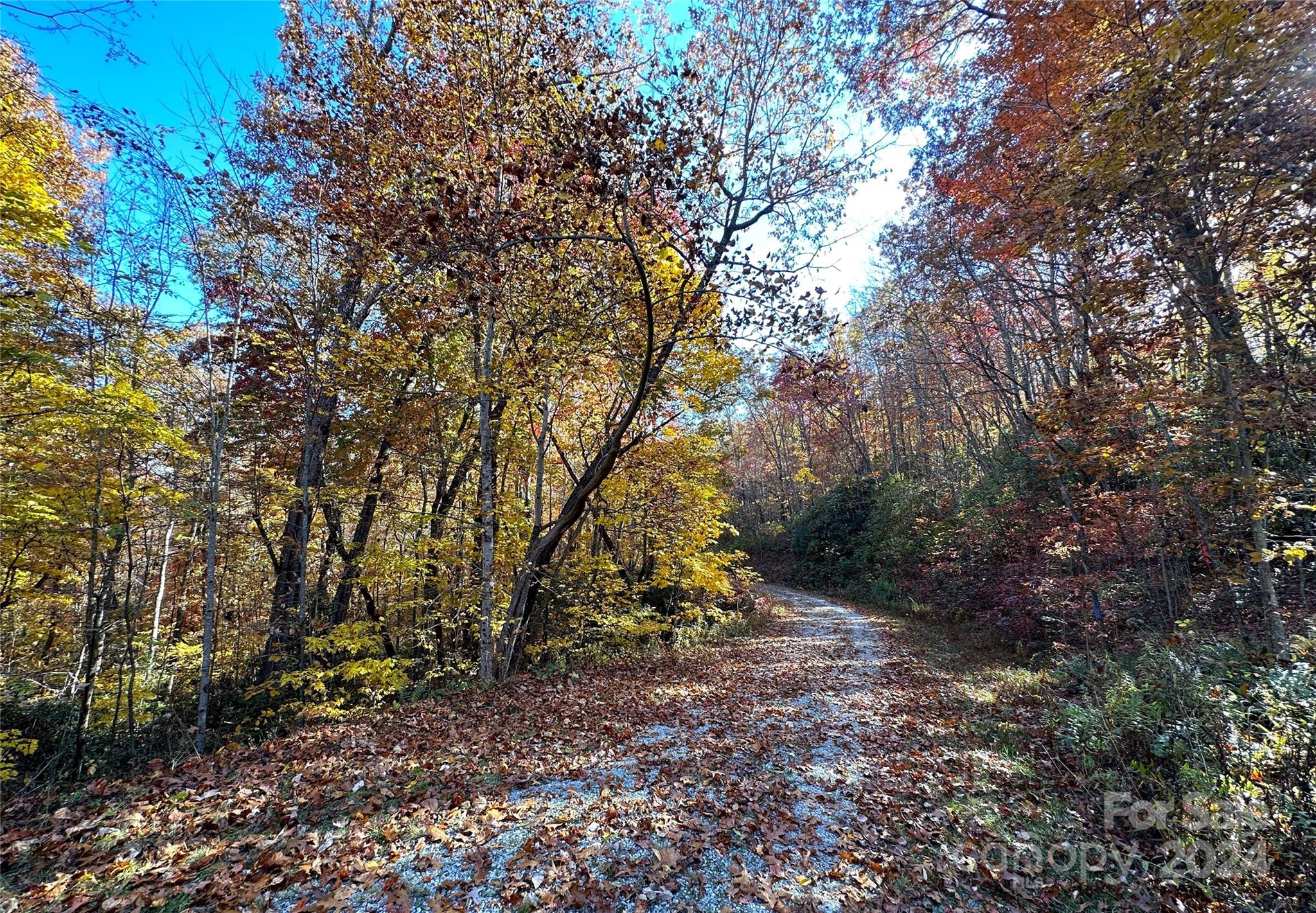 Richland Ridge - Land