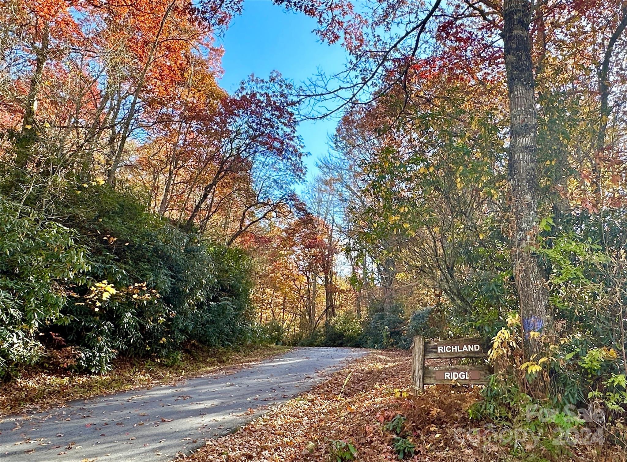 Richland Ridge - Land