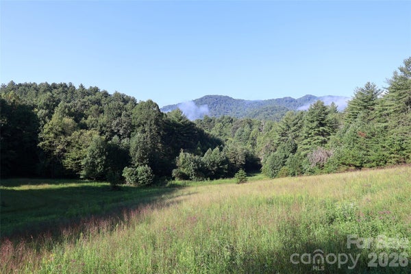 DRUM HILL DR, CANTON, NC 28716 - Image aa6d94f2d3d5debd89f34d081174b676/4109608734