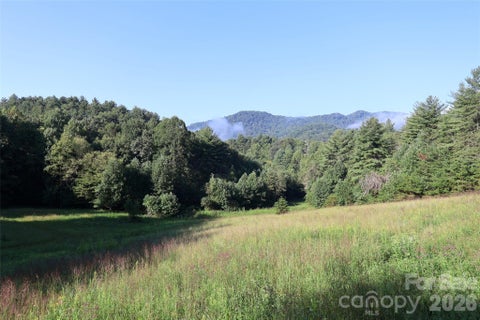 Photo of 99999 Dream Valley Drive, Clyde, NC 28721 (MLS # 4422093)