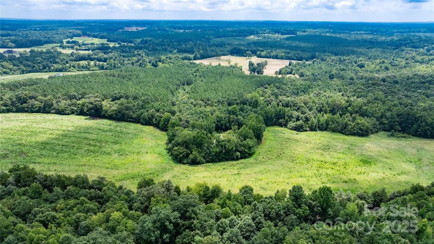 Welcome to Daystar Farms, a new subdivision offering 20 unique tracts ranging from 4(+) to 77 acres. Whether you’re seeking a serene residential lot, a mini-farm, hunting preserve, or a recreational haven, Daystar Farms has the perfect property for you. Daystar Farms is more than just a place to live; it’s a lifestyle. Imagine waking up to the sounds of nature, exploring your own private land, and having the space to pursue your passions. Build your vision-your way. The front portion of Lot 16 is mostly cleared while the back portion is wooded.  A small pond sits tucked among the trees. This versatile lots allows you to choose your ideal setting for your homesite with plenty of elbow room and privacy. This lot provides excellent opportunities for farming, hunting and outdoor recreation.  Daystar Farms is conveniently located with easy access to nearby amenities without sacrificing peaceful rural living. Soil tests have been performed with favorable results for conventional septic systems.