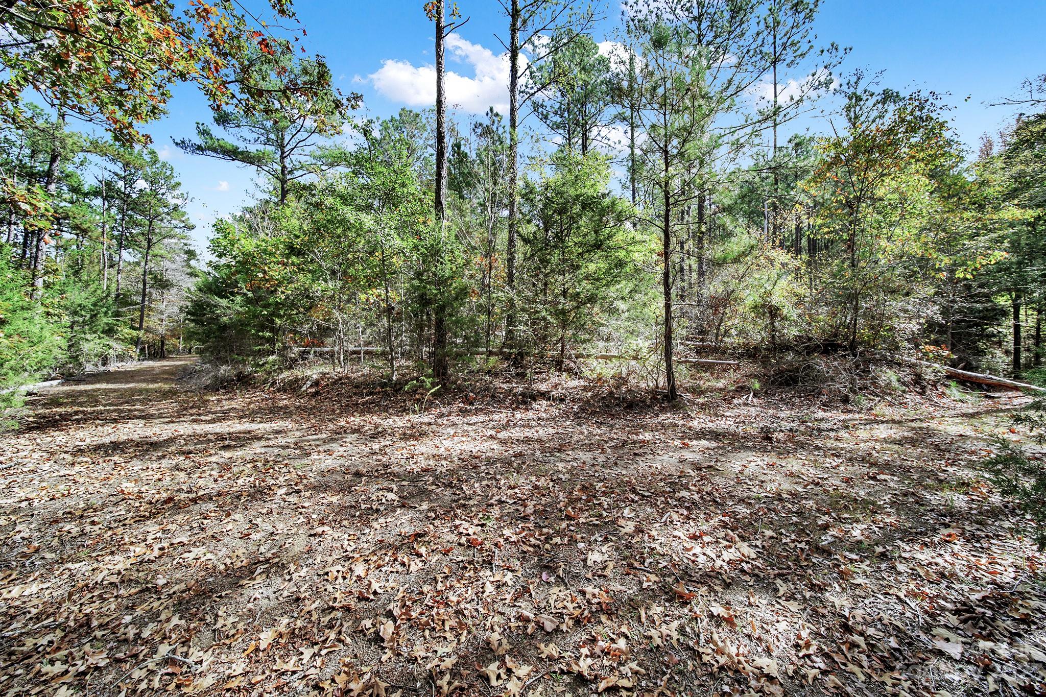 Merriweather Manor - Land