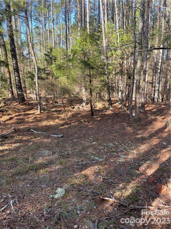 Merriweather Manor - Land