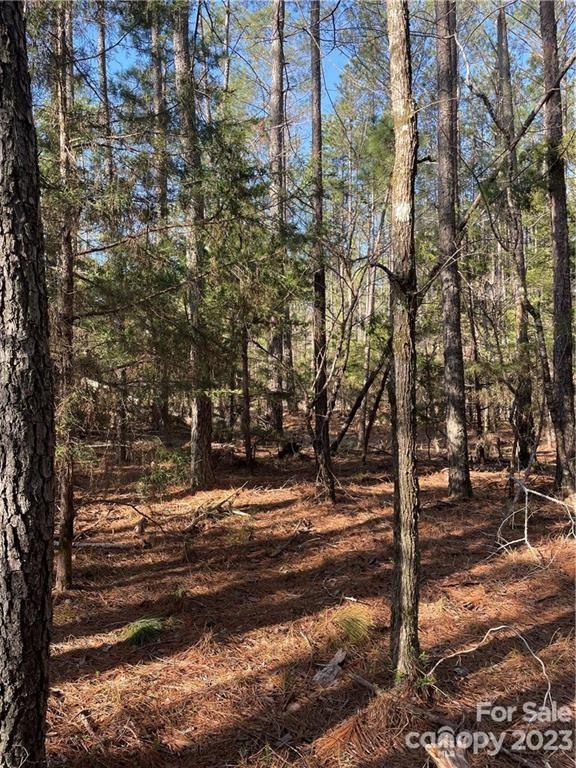 Merriweather Manor - Land