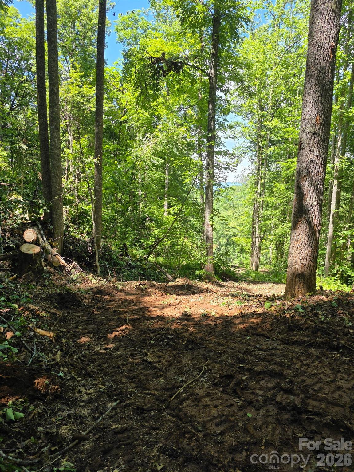 533 Enchanted Forest Drive